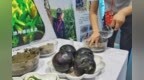 2021重庆智博会精彩回顾：签约项目92个，总投资<em>2524</em>亿元