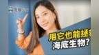 <em>Acer</em> Aspire Vero开箱！这个降噪功能也太强？