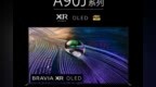 QD-Mini LED技术全球领先！TCL <em>X11</em>性能画质领先三星索尼旗舰