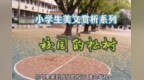 小学生美文赏析<em>系列</em>之《<em>校园</em>的松树》