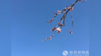 一日禅：为人处世