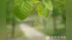 一日禅：静心，可去除烦恼