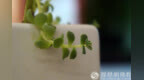 一日禅：坦然面对一切