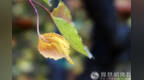 一日禅：不要赌天意