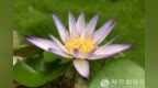 一日禅：随和之人