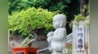 一日禅：高尚