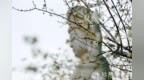 一日禅：度人先度己