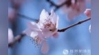 一日禅：人间烟火