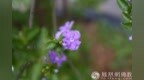 一日禅：彼岸
