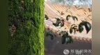 一日禅：积极的面对人生
