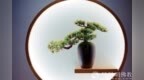 一日禅：得失成败皆过往