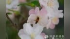 一日禅：翻篇