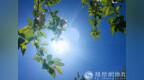 一日禅：追风去