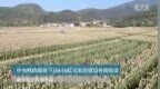 中央财政提前下达<em>616</em>亿元农田建设补助资金
