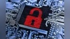 又一国产品牌加入<em>CVE</em>，用户手机安全又添保障