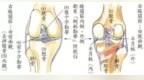 <em>膝盖</em>痛？打羽毛球该如何保护<em>膝盖</em>？