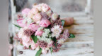 教师节送什么<em>花</em> 教师节<em>的</em>祝福语<em>有</em><em>哪些</em>