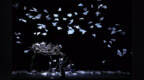 A <em>Talk</em> with Verity Studios —— Drones for Shows and Future Possibilities