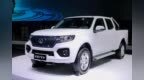 近30万的纯电动皮卡，长城风骏<em>7EV</em>值得买吗？