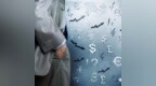 网信再度预告两项目回款 涉及金额<em>1034</em>万元