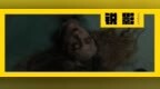 丧尸片拍这么<em>WTF</em>，贾木许还挺有意思的