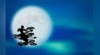中秋节吃什么？<em>苏</em>宁超市五周年<em>月饼</em>、休闲零食都安排好了