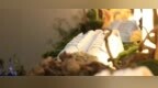 潮闻快食 | adidas Originals 2020 上海时装周回顾，Carhartt <em>WIP</em> x FPAR 联名系列发布
