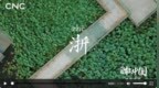重磅短视频｜<em>我爱你</em><em>中国</em>