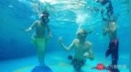 围观！一大波美<em>人鱼</em>聚集广州巨型玻璃水缸，还有男<em>人鱼</em>，画面太美