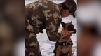 训练有素！军犬用一瓶矿泉水就能“<em>拴住</em>”用香肠诱惑也一动不动