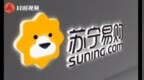 苏宁易购业绩快报：2019年营收<em>2703</em>亿元，归母净利润为110亿元