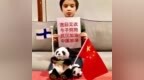 都江堰的国际小伙伴们暖心问候不断！丨International friends’ <em>warm</em> greetings