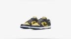 <em>Year</em> of Dunk？两款全新 Dunk Low 发售