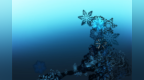 形态各异的<em>雪花</em>