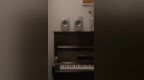 预算1万元，最好的选择丨KEF <em>LSX</em> II Sound Wave特别版，半月体验
