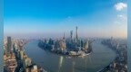 市政协就加快林业转型升级开展专题视察