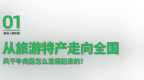 从地方旅游特产到随手可买，龙帮如何让风干牛肉成为国民零食？