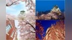 樱花季大阪旅行购物到阪急百货入手樱花主题伴手礼