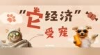 宠物经济3.0