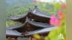 宫观祠庙寺庵同为礼拜祀神场所，缘何名称各异