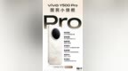 vivo Y500 <em>Pro</em> 手机现身中国电信终端产品库，11 月 10 日发布