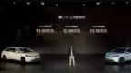 Model3的“平替”？秦L <em>EV</em>没这么简单
