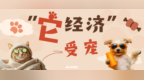 现在开始流行“带娃式”养宠了？