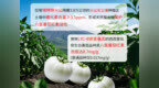 三浦制药DonCoo雪白丸意大利<em>DOP</em>白番茄（IT-023-ETNA）认证声明