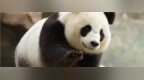 明德战略对话|翁诗杰：中国正处于“将强未强”微妙阶段，如何消除带给外界的紧逼感？