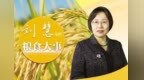粮食生产风雨不动安如山