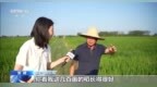 活力中国调研行丨从造梦到造物！博士生用新材料造出消防“铠甲”