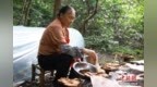 （走进中国乡村）深山灵芝“破壁”：千年“仙草”浙江乡村焕新机