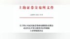中国最大NOR Flash代工厂终止IPO