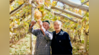 共情山河·同心致远丨六十春秋赴葡香之约 万里家国共守同心